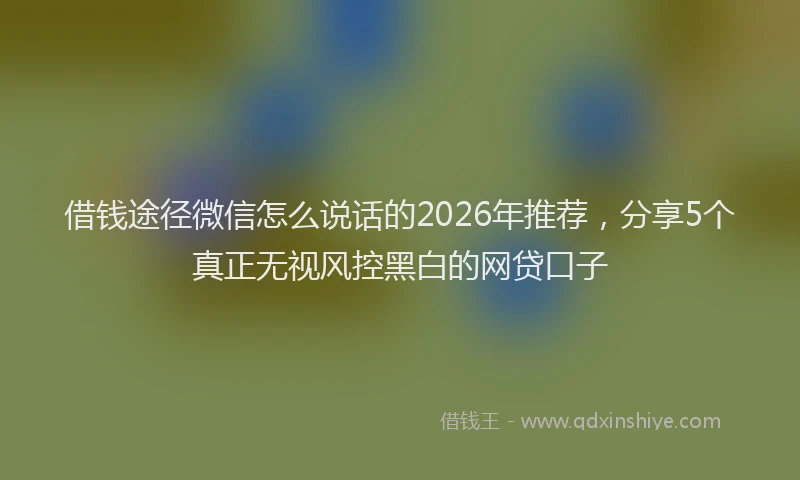 借钱途径微信怎么说话的2026年推荐，分享5个真正无视风控黑白的网贷口子