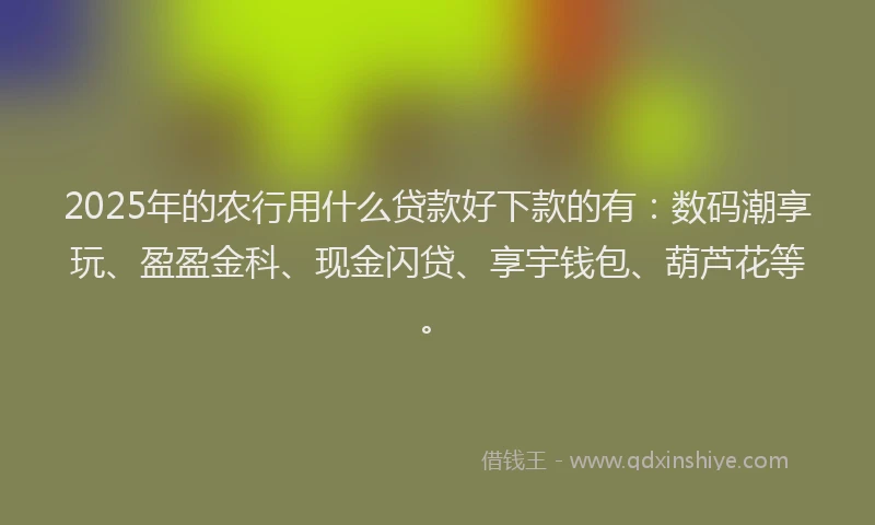 2025年的农行用什么贷款好下款的有：数码潮享玩、盈盈金科、现金闪贷、享宇钱包、葫芦花等。