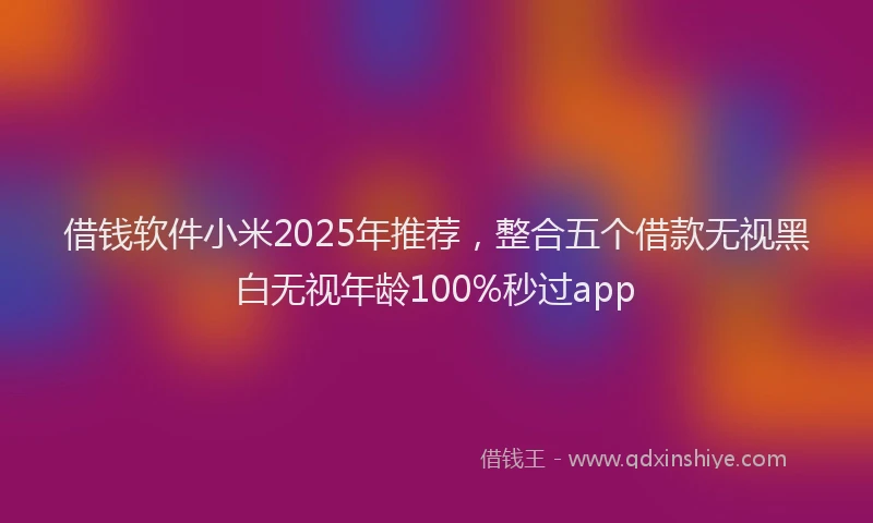 借钱软件小米2025年推荐，整合五个借款无视黑白无视年龄100%秒过app