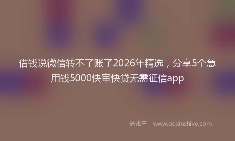 借钱说微信转不了账了2026年精选,分享5个急用钱5000快审快贷无需征信app