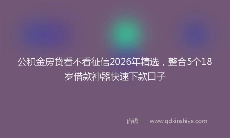 公积金房贷看不看征信2026年精选，整合5个18岁借款神器快速下款口子