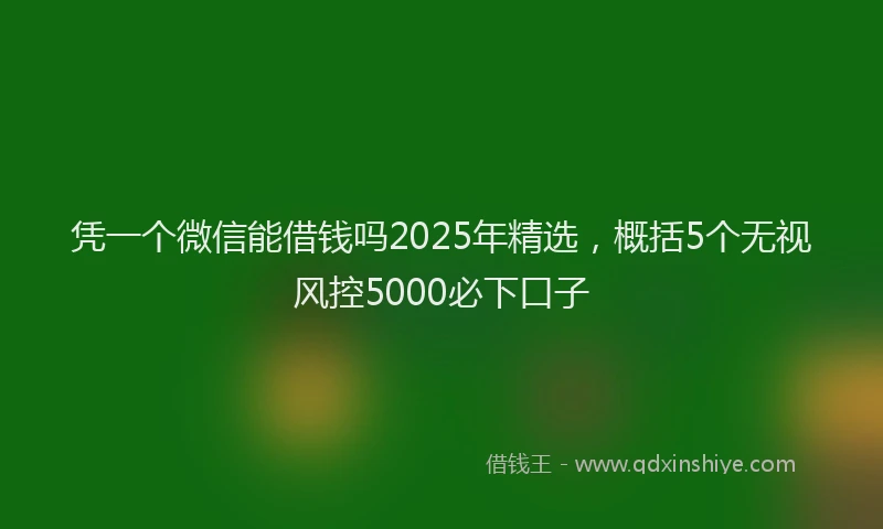 凭一个微信能借钱吗2025年精选，概括5个无视风控5000必下口子