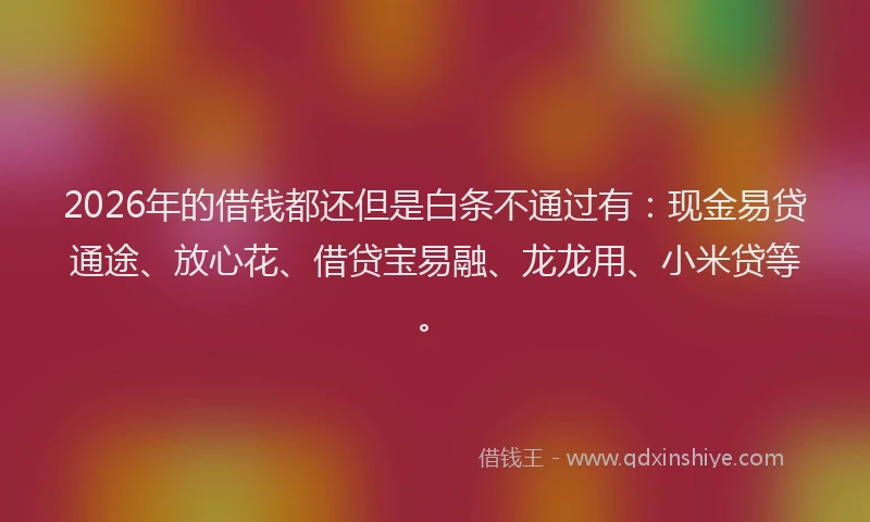 2026年的借钱都还但是白条不通过有：现金易贷通途、放心花、借贷宝易融、龙龙用、小米贷等。