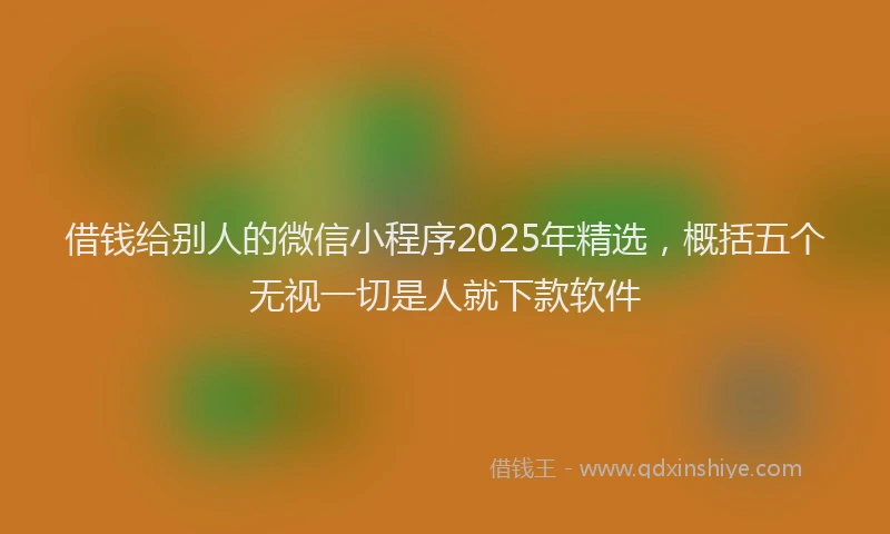 借钱给别人的微信小程序2025年精选，概括五个无视一切是人就下款软件
