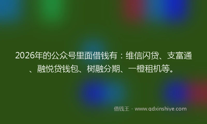 2026年的公众号里面借钱有：维信闪贷、支富通、融悦贷钱包、树融分期、一橙租机等。