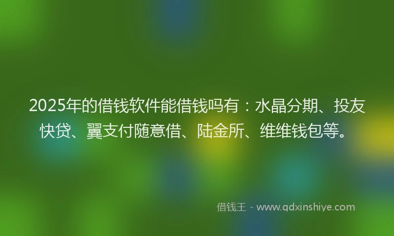 2025年的借钱软件能借钱吗有：水晶分期、投友快贷、翼支付随意借、陆金所、维维钱包等。