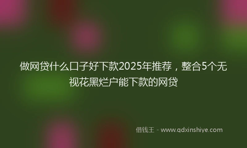 做网贷什么口子好下款2025年推荐,整合5个无视花黑烂户能下款的网贷