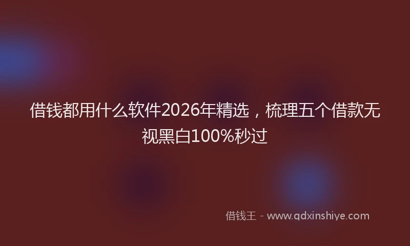 借钱都用什么软件2026年精选，梳理五个借款无视黑白100%秒过