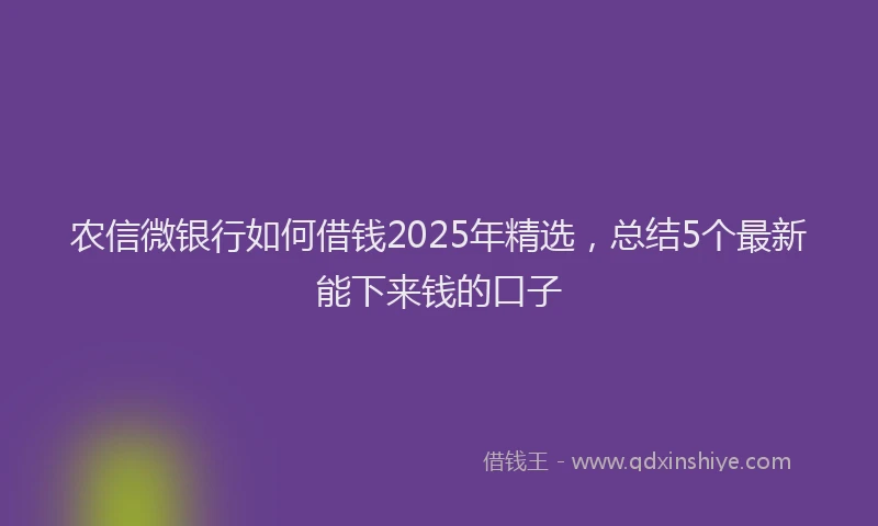 农信微银行如何借钱2025年精选，总结5个最新能下来钱的口子
