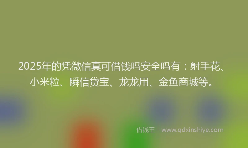 2025年的凭微信真可借钱吗安全吗有：射手花、小米粒、瞬信贷宝、龙龙用、金鱼商城等。
