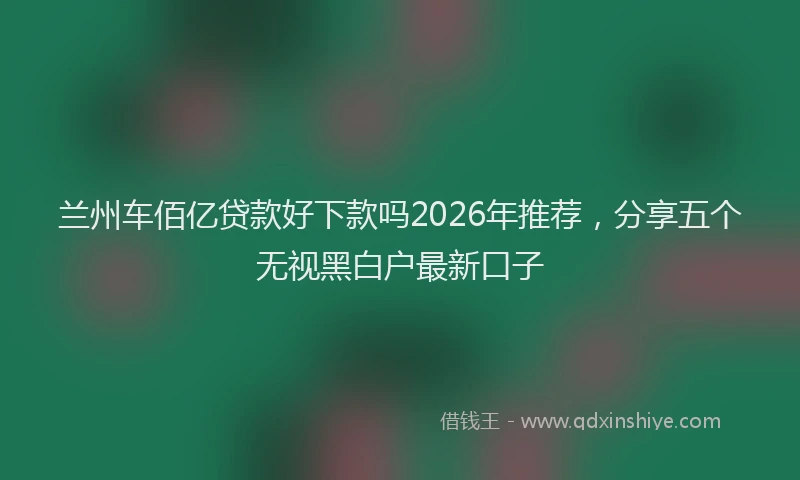 兰州车佰亿贷款好下款吗2026年推荐，分享五个无视黑白户最新口子