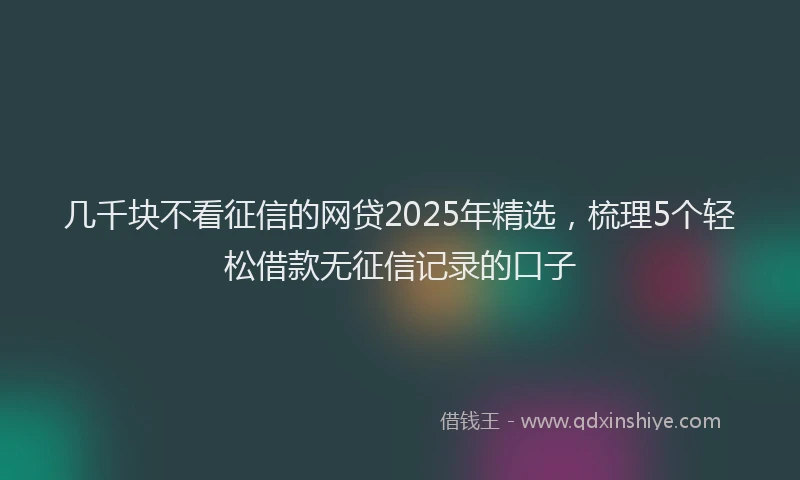 几千块不看征信的网贷2025年精选，梳理5个轻松借款无征信记录的口子