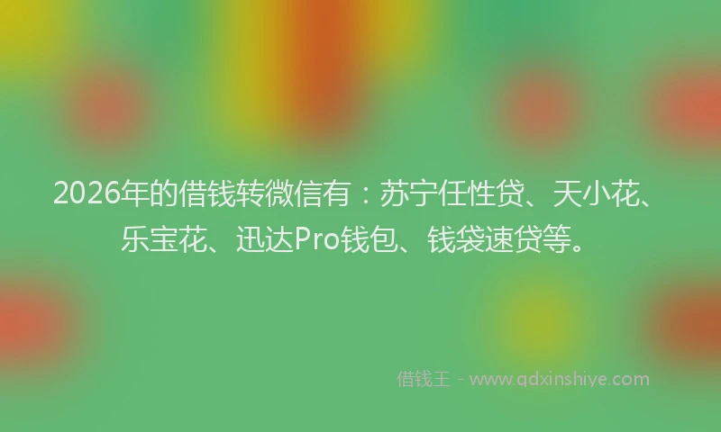 2026年的借钱转微信有：苏宁任性贷、天小花、乐宝花、迅达Pro钱包、钱袋速贷等。