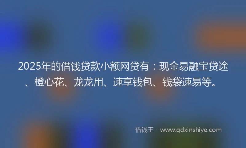 2025年的借钱贷款小额网贷有：现金易融宝贷途、橙心花、龙龙用、速享钱包、钱袋速易等。