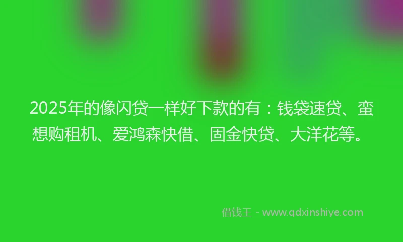 2025年的像闪贷一样好下款的有:钱袋速贷、蛮想购租机、爱鸿森快借、固金快贷、大洋花等。
