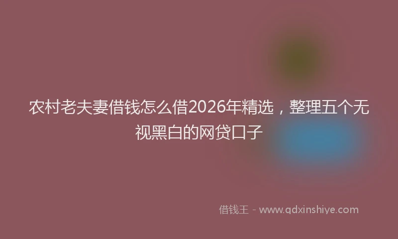 农村老夫妻借钱怎么借2026年精选,整理五个无视黑白的网贷口子