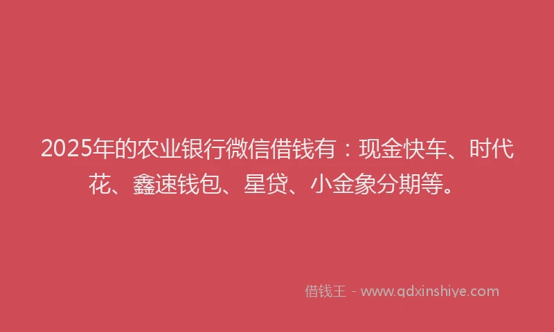 2025年的农业银行微信借钱有:现金快车、时代花、鑫速钱包、星贷、小金象分期等。