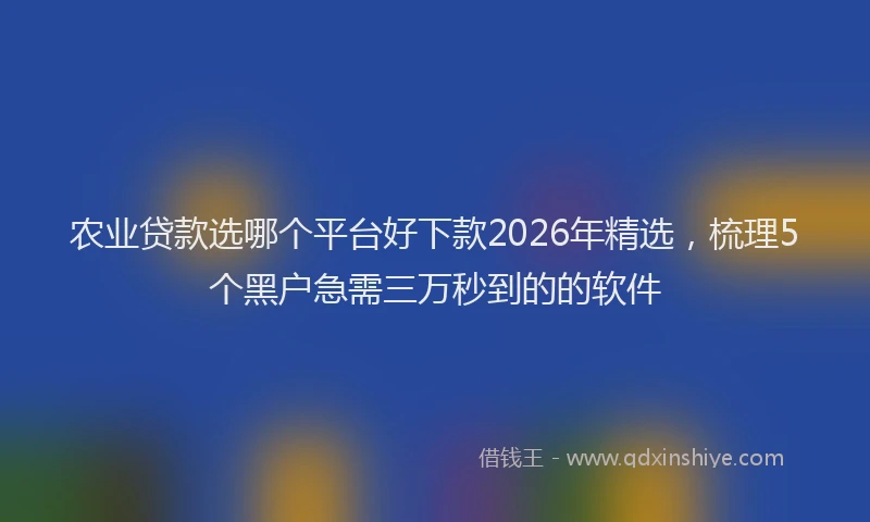 农业贷款选哪个平台好下款2026年精选，梳理5个黑户急需三万秒到的的软件