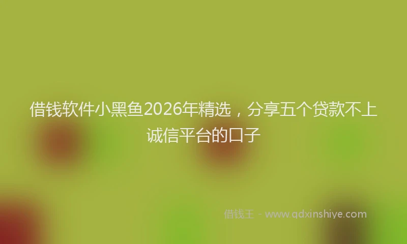 借钱软件小黑鱼2026年精选，分享五个贷款不上诚信平台的口子