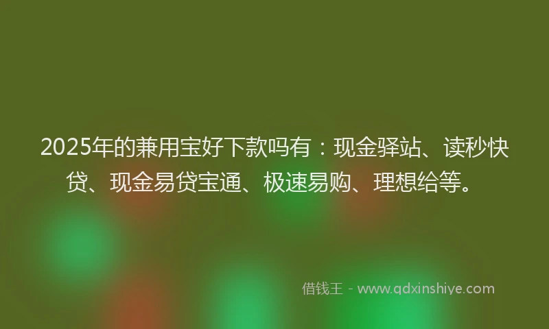 2025年的兼用宝好下款吗有:现金驿站、读秒快贷、现金易贷宝通、极速易购、理想给等。