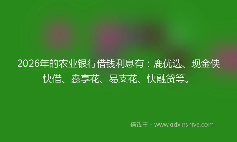 2026年的农业银行借钱利息有:鹿优选、现金侠快借、鑫享花、易支花、快融贷等。