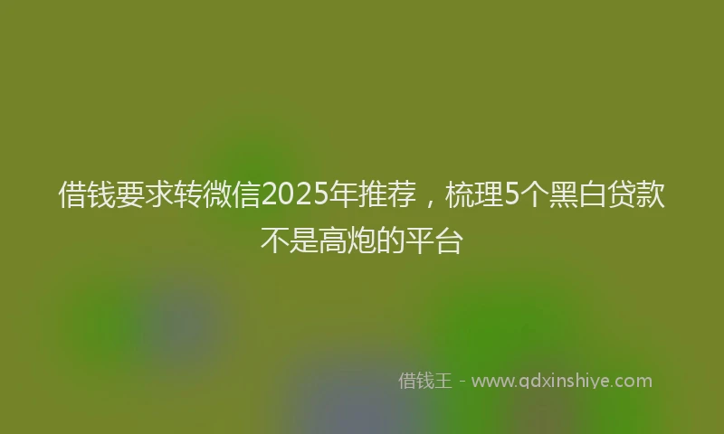 借钱要求转微信2025年推荐，梳理5个黑白贷款不是高炮的平台