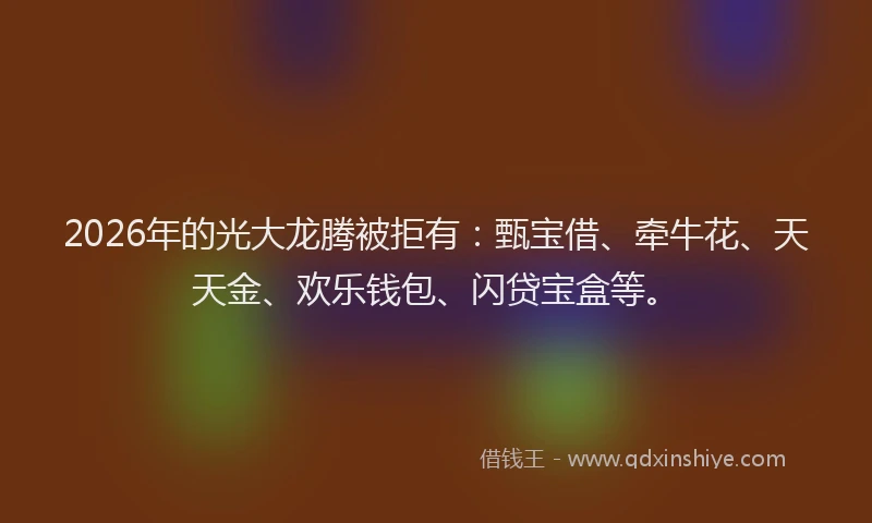 2026年的光大龙腾被拒有:甄宝借、牵牛花、天天金、欢乐钱包、闪贷宝盒等。