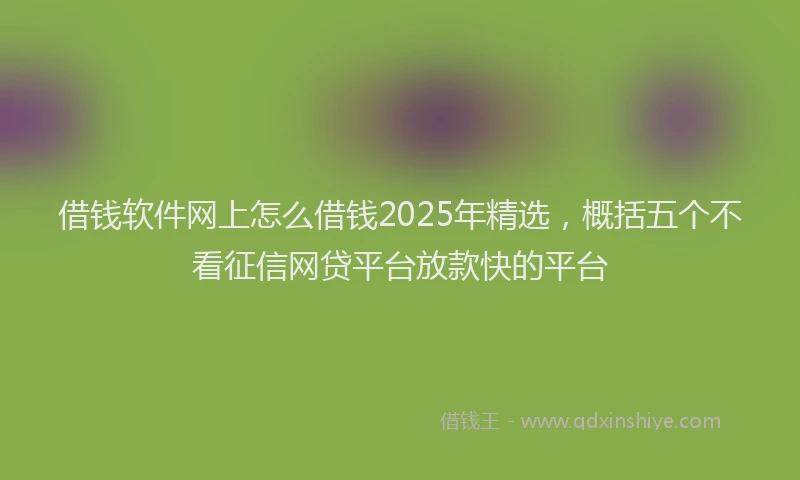 借钱软件网上怎么借钱2025年精选，概括五个不看征信网贷平台放款快的平台