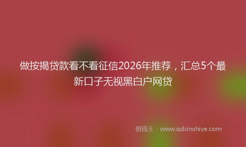 做按揭贷款看不看征信2026年推荐，汇总5个最新口子无视黑白户网贷