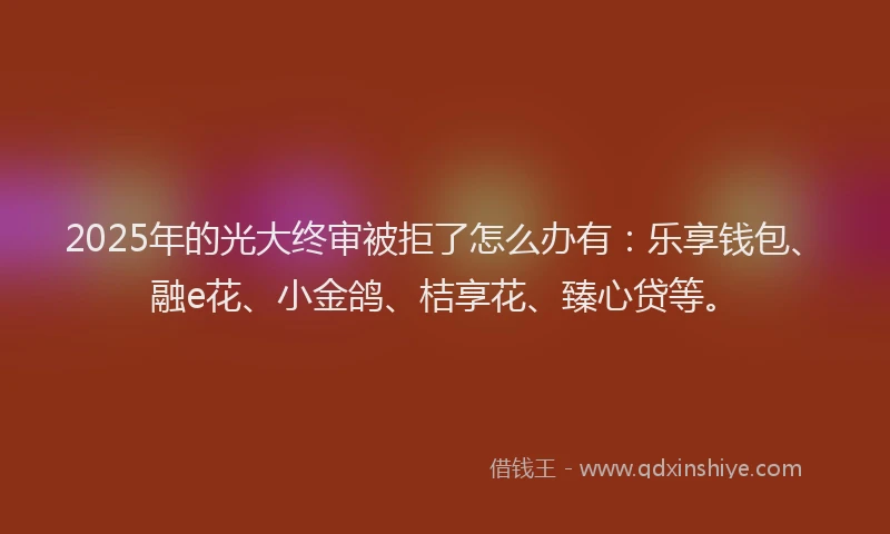 2025年的光大终审被拒了怎么办有：乐享钱包、融e花、小金鸽、桔享花、臻心贷等。
