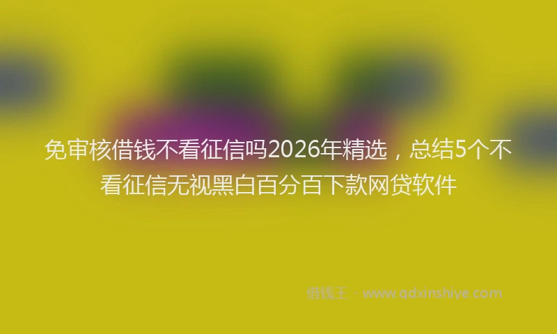 免审核借钱不看征信吗2026年精选，总结5个不看征信无视黑白百分百下款网贷软件