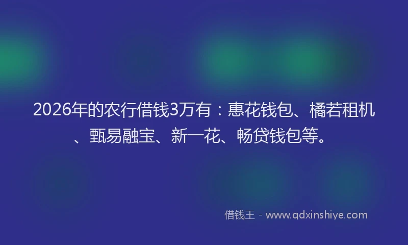 2026年的农行借钱3万有:惠花钱包、橘若租机、甄易融宝、新一花、畅贷钱包等。
