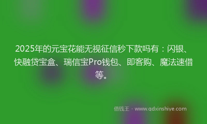 2025年的元宝花能无视征信秒下款吗有：闪银、快融贷宝盒、瑞信宝Pro钱包、即客购、魔法速借等。