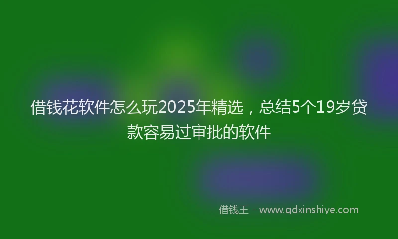 借钱花软件怎么玩2025年精选，总结5个19岁贷款容易过审批的软件