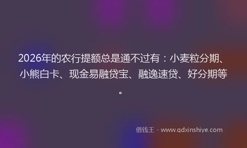 2026年的农行提额总是通不过有：小麦粒分期、小熊白卡、现金易融贷宝、融逸速贷、好分期等。