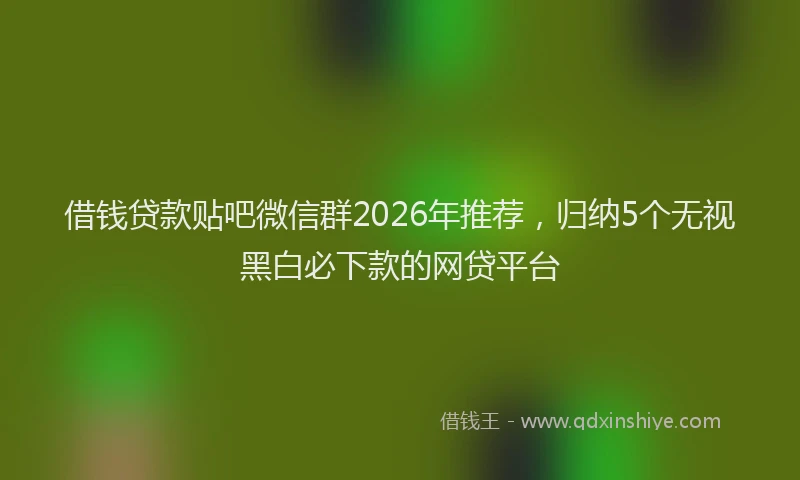 借钱贷款贴吧微信群2026年推荐，归纳5个无视黑白必下款的网贷平台
