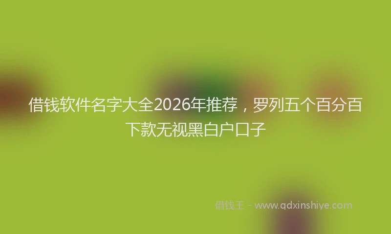 借钱软件名字大全2026年推荐，罗列五个百分百下款无视黑白户口子