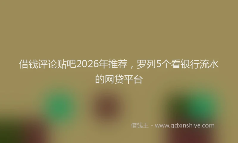 借钱评论贴吧2026年推荐，罗列5个看银行流水的网贷平台