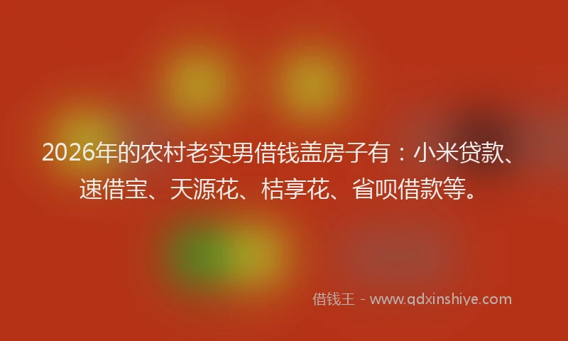 2026年的农村老实男借钱盖房子有：小米贷款、速借宝、天源花、桔享花、省呗借款等。