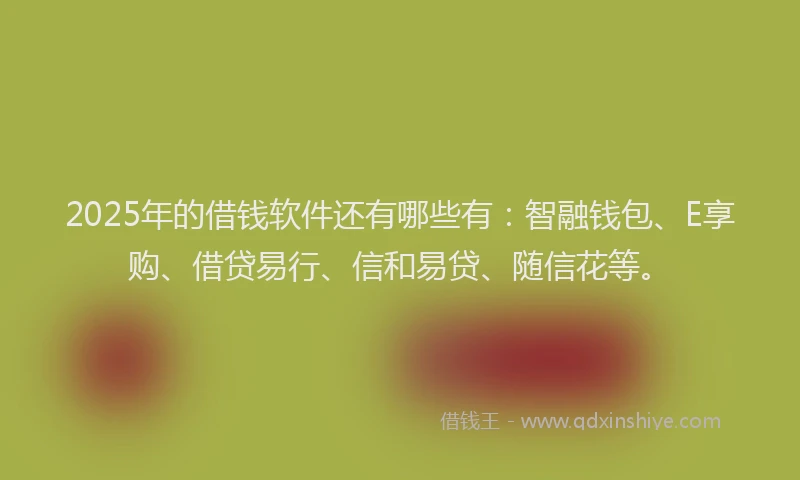 2025年的借钱软件还有哪些有：智融钱包、E享购、借贷易行、信和易贷、随信花等。