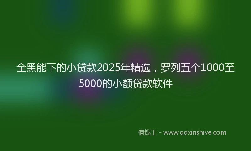 全黑能下的小贷款2025年精选,罗列五个1000至5000的小额贷款软件