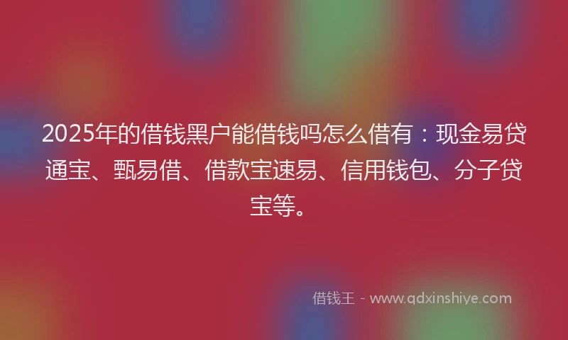 2025年的借钱黑户能借钱吗怎么借有：现金易贷通宝、甄易借、借款宝速易、信用钱包、分子贷宝等。