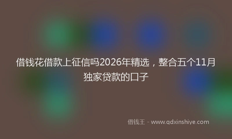 借钱花借款上征信吗2026年精选，整合五个11月独家贷款的口子