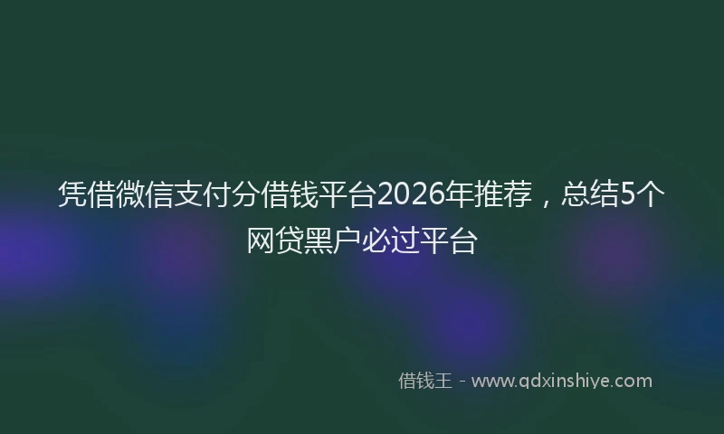 凭借微信支付分借钱平台2026年推荐，总结5个网贷黑户必过平台