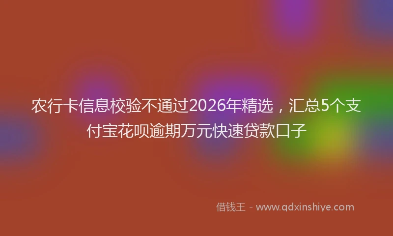 农行卡信息校验不通过2026年精选，汇总5个支付宝花呗逾期万元快速贷款口子