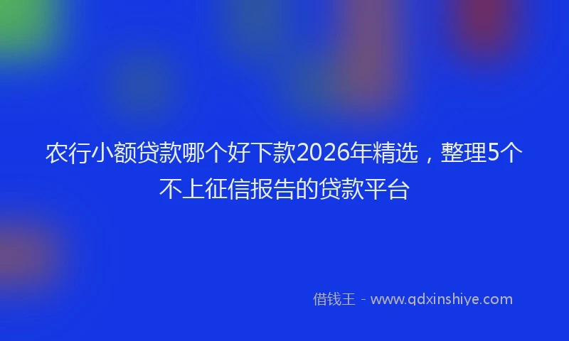 农行小额贷款哪个好下款2026年精选，整理5个不上征信报告的贷款平台