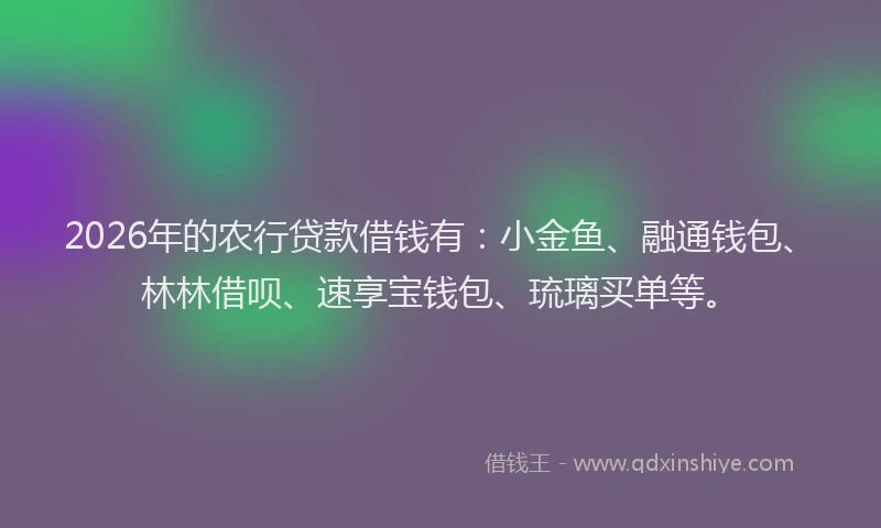 2026年的农行贷款借钱有：小金鱼、融通钱包、林林借呗、速享宝钱包、琉璃买单等。
