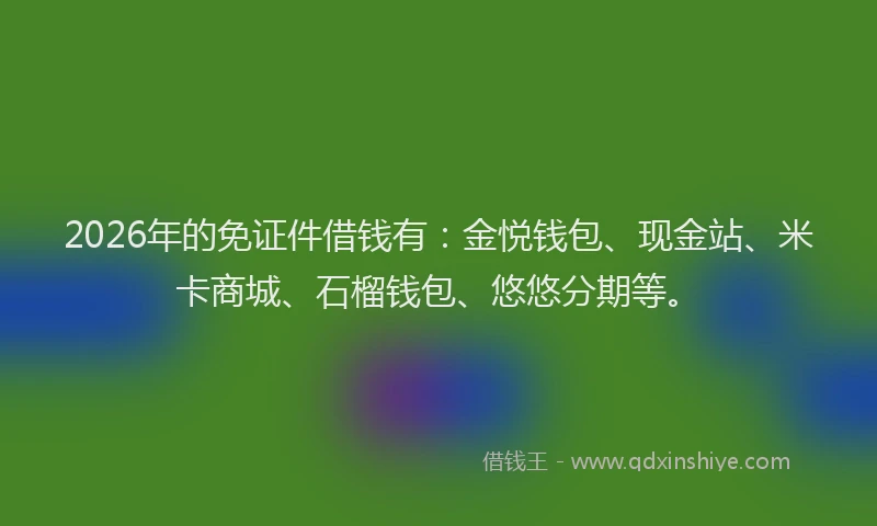 2026年的免证件借钱有：金悦钱包、现金站、米卡商城、石榴钱包、悠悠分期等。