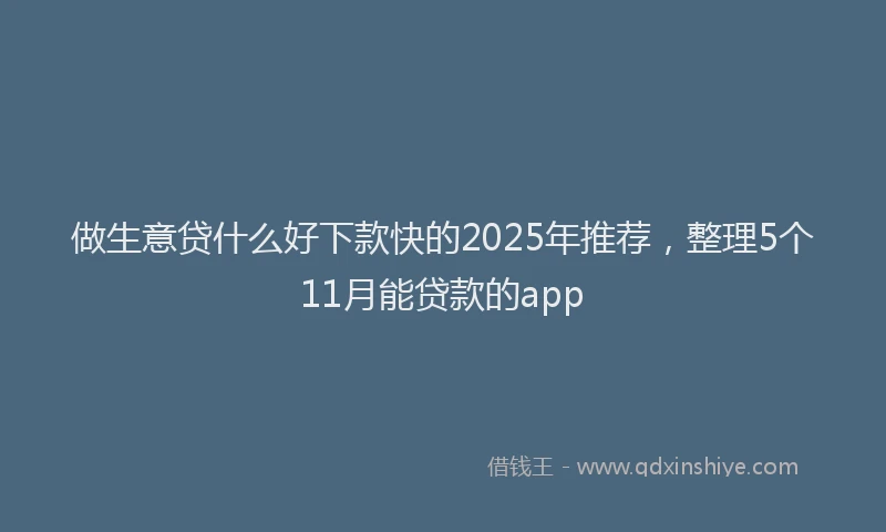 做生意贷什么好下款快的2025年推荐，整理5个11月能贷款的app