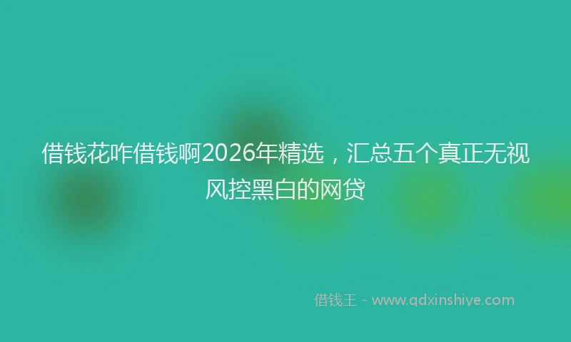 借钱花咋借钱啊2026年精选，汇总五个真正无视风控黑白的网贷